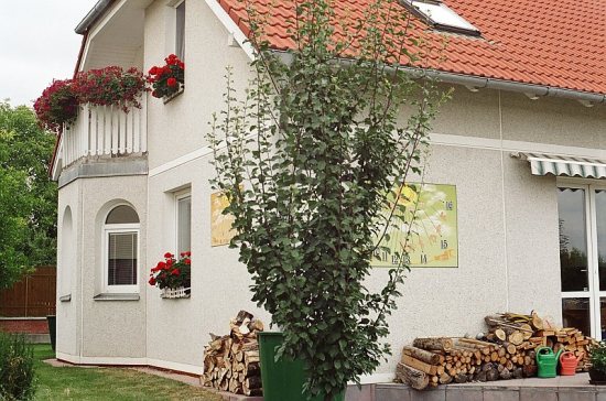 Rozdrojovice 223