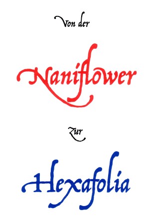 Von der Naniflower zur Hexafolia